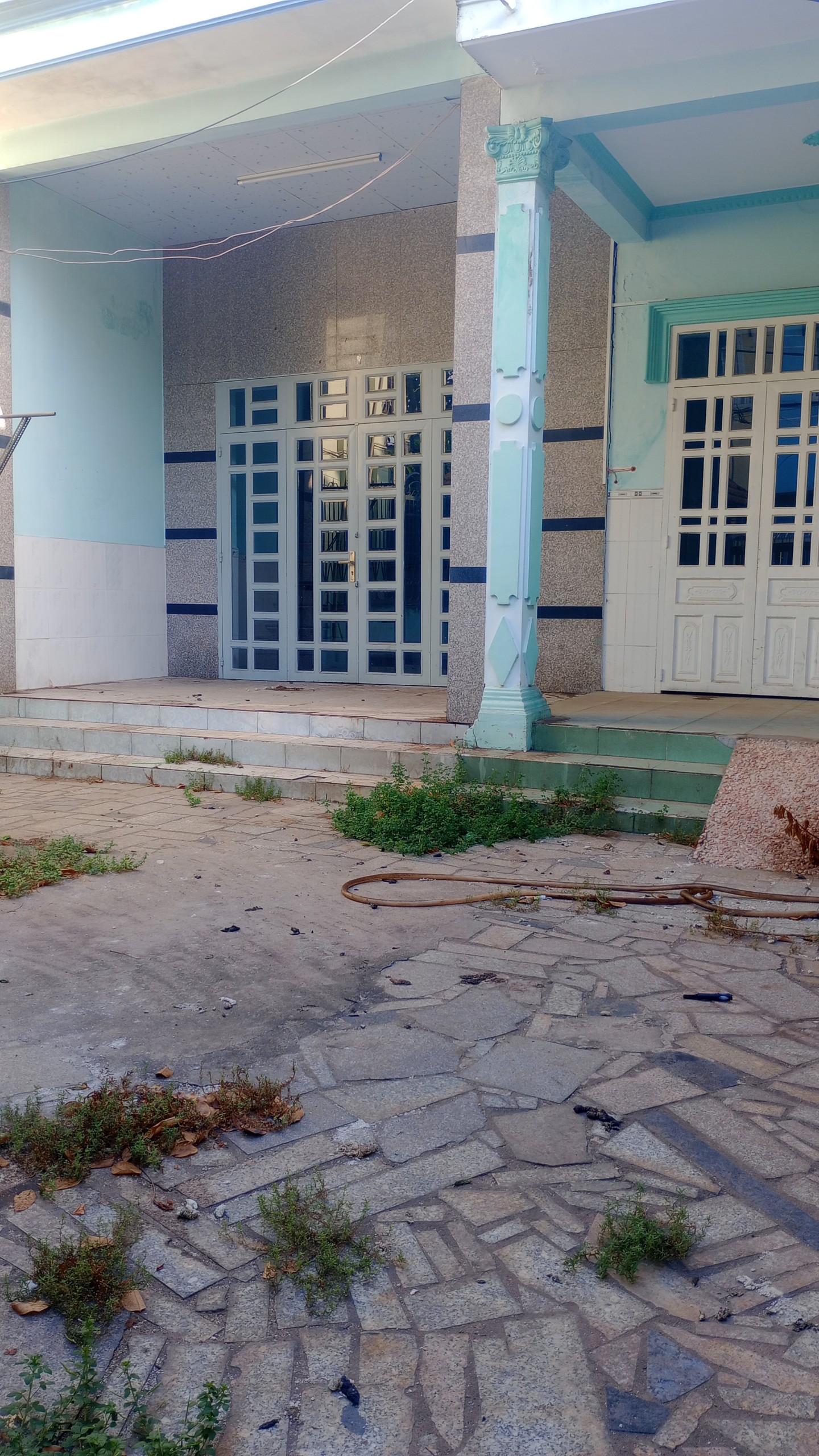 z5393601970259_0fc5cbbe2616b962aec5ba415c71327a