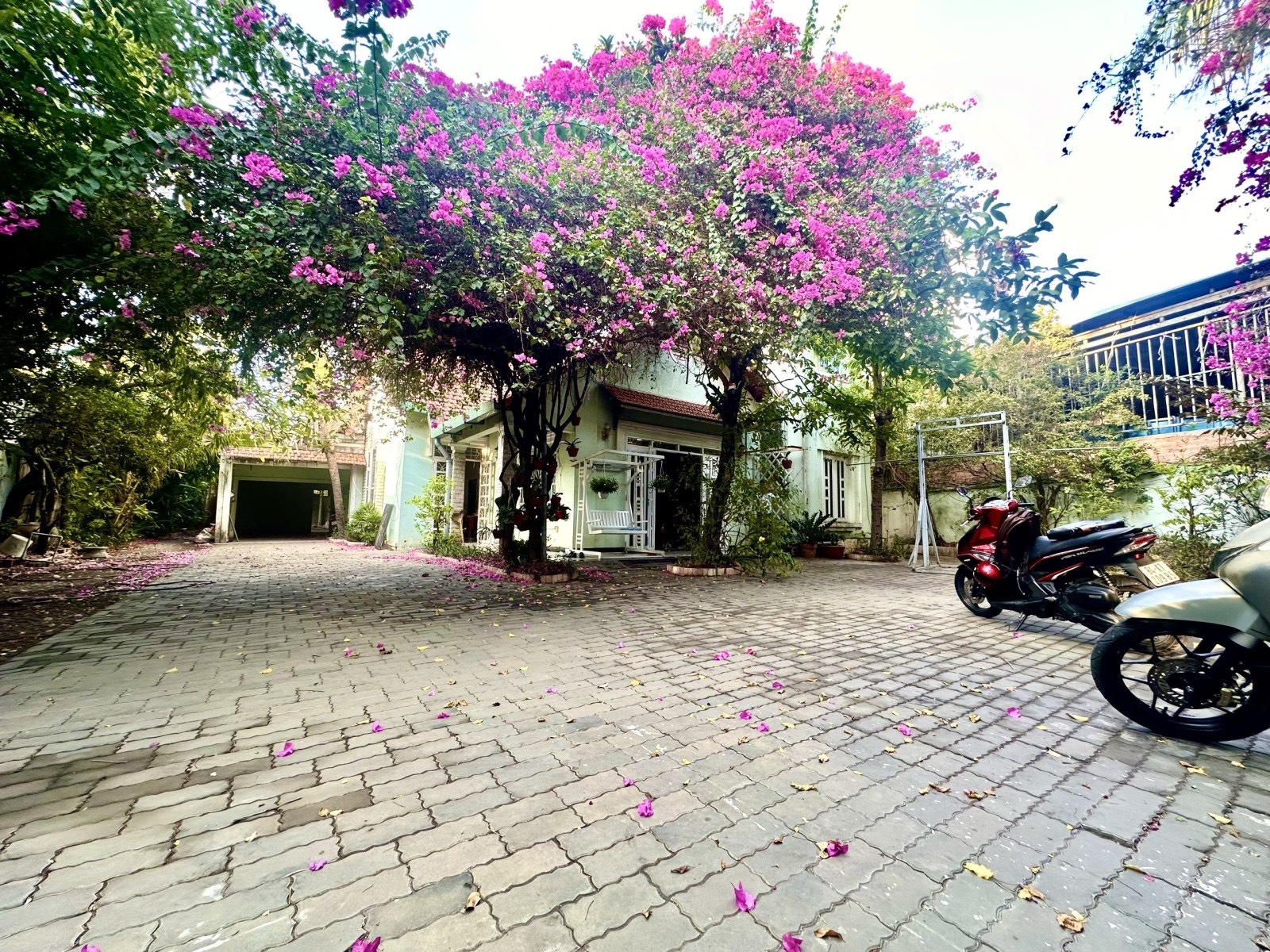 z5442626859498_199519818ea8a311f03e07b474d2e7d3