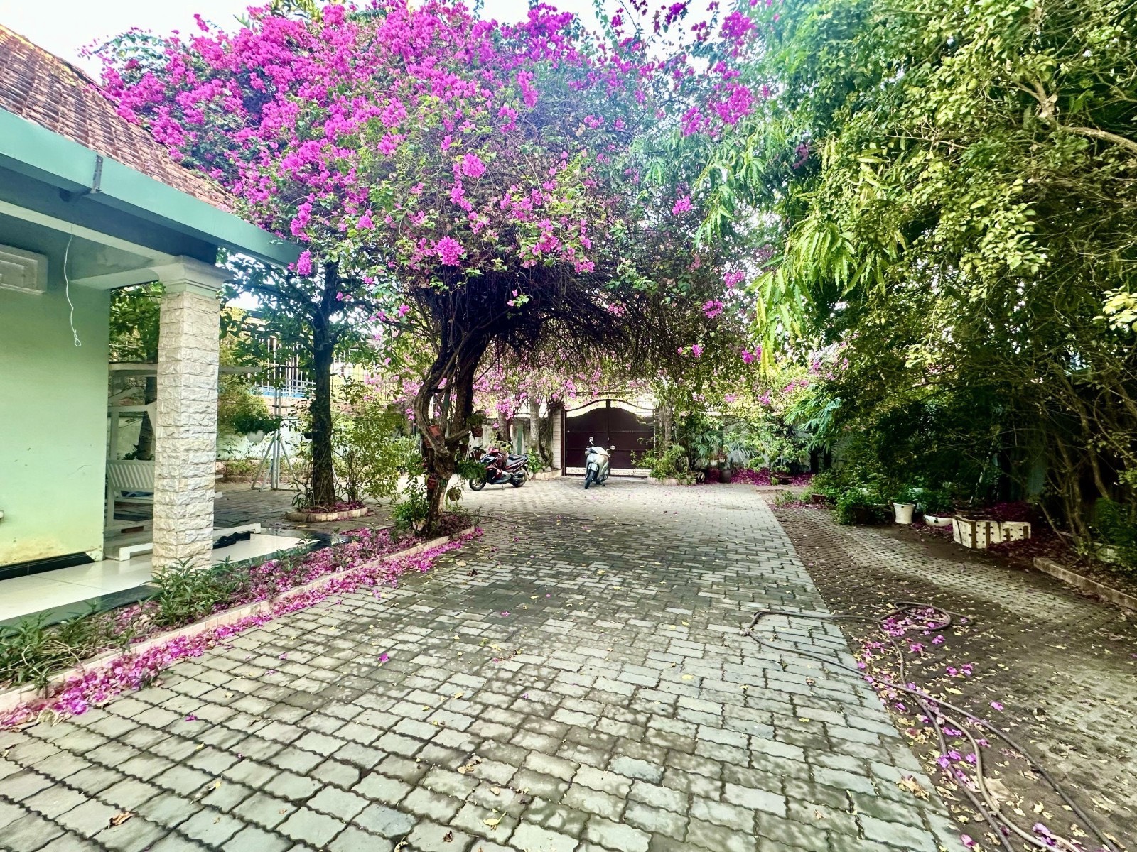 z5442626863879_5a303520c538e03ceaed000bd2e22709