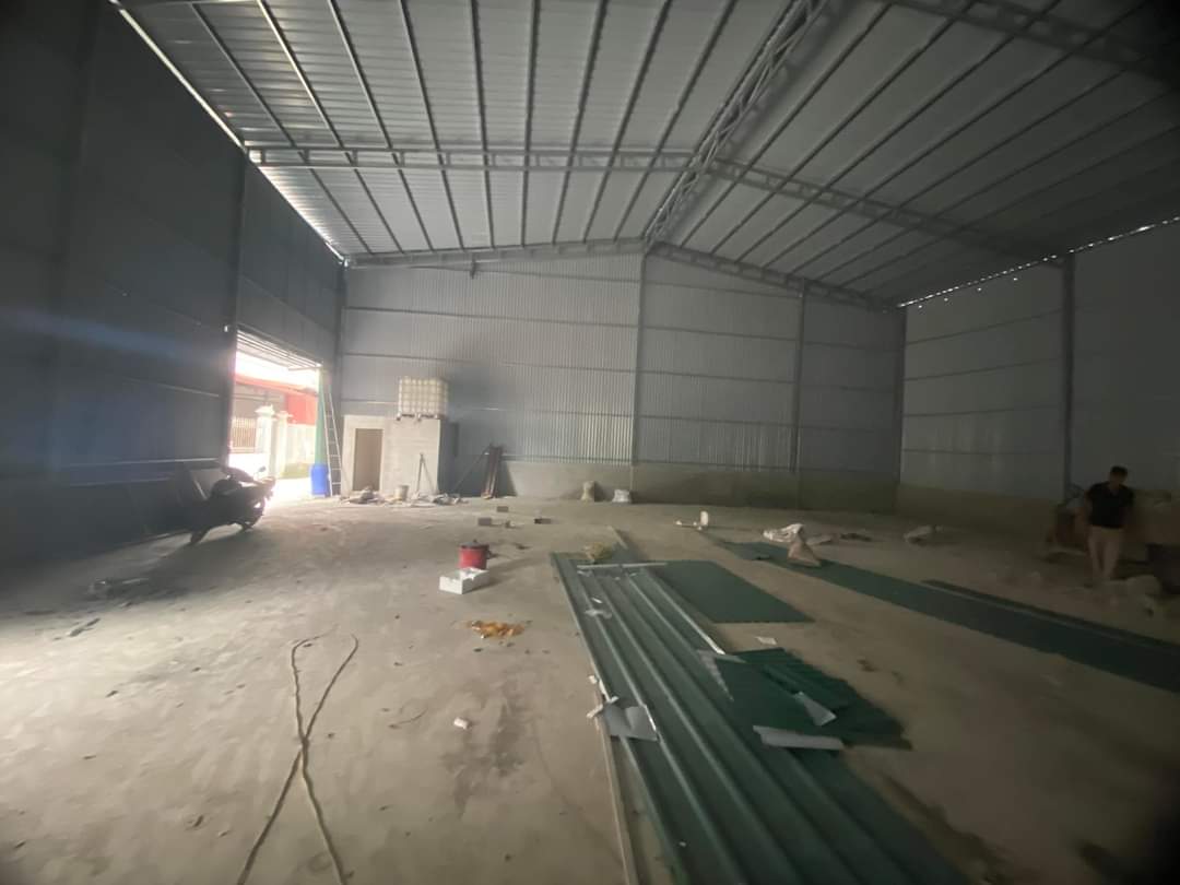 z5445065700086_414d2a3683480db7deae59cca2a94222