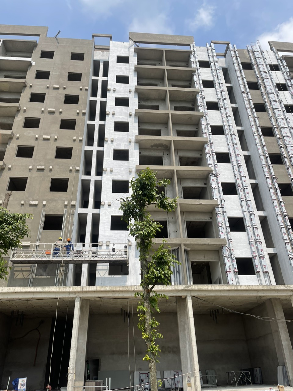 z5449832168939_c6621cbd57b79a5d46b97b7269154b70