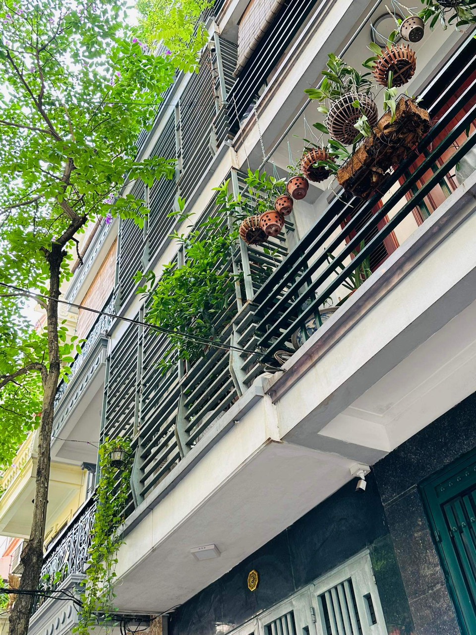 z5463491201423_44c98ec2364979c654d1733a4c40ce2e