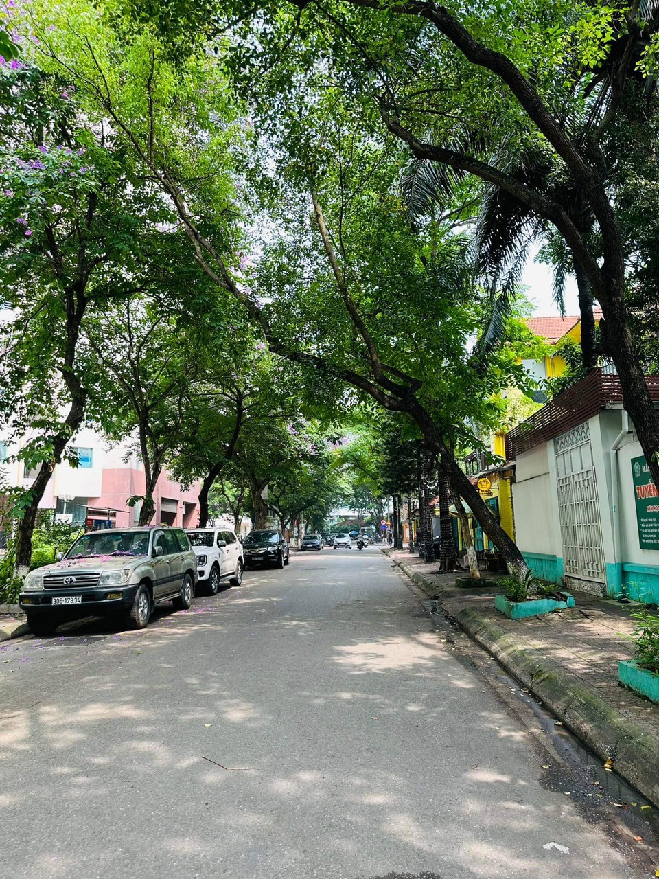 z5463491414494_917684c233df2fa86745162e50b623d9