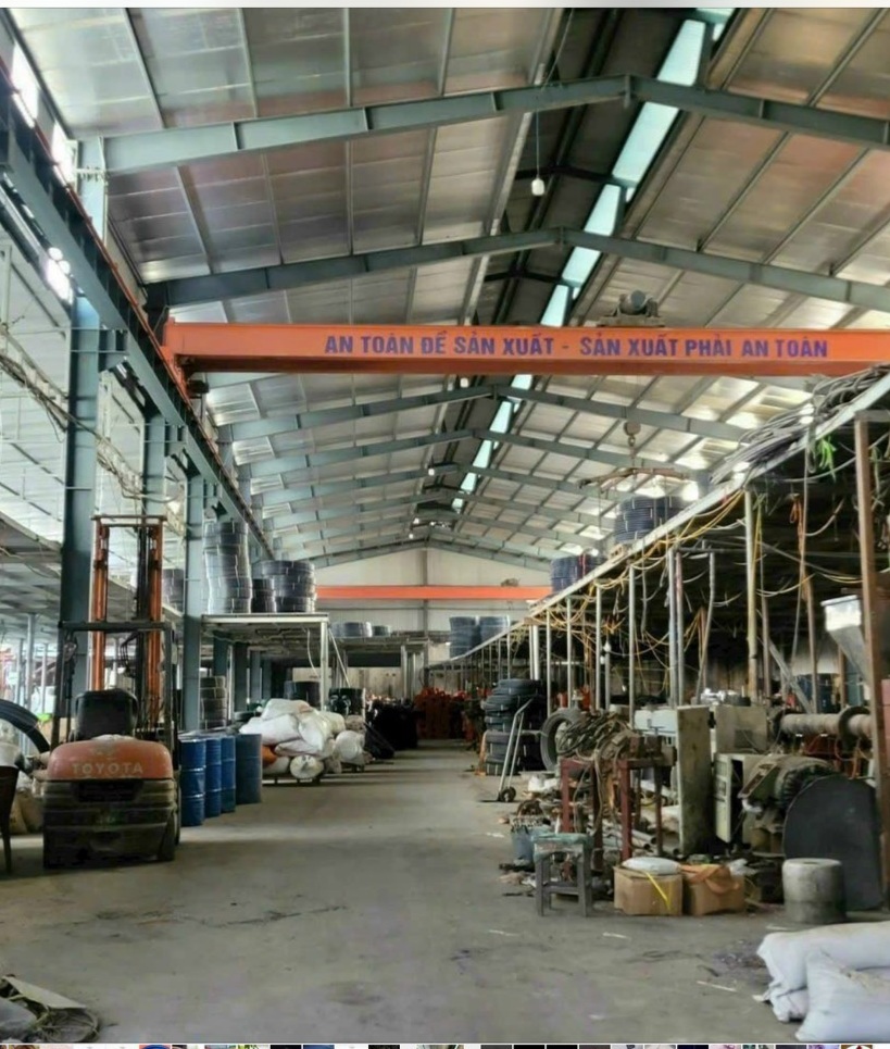 z5465702454109_b223acfe38ce73c00fd05be017d42b6b