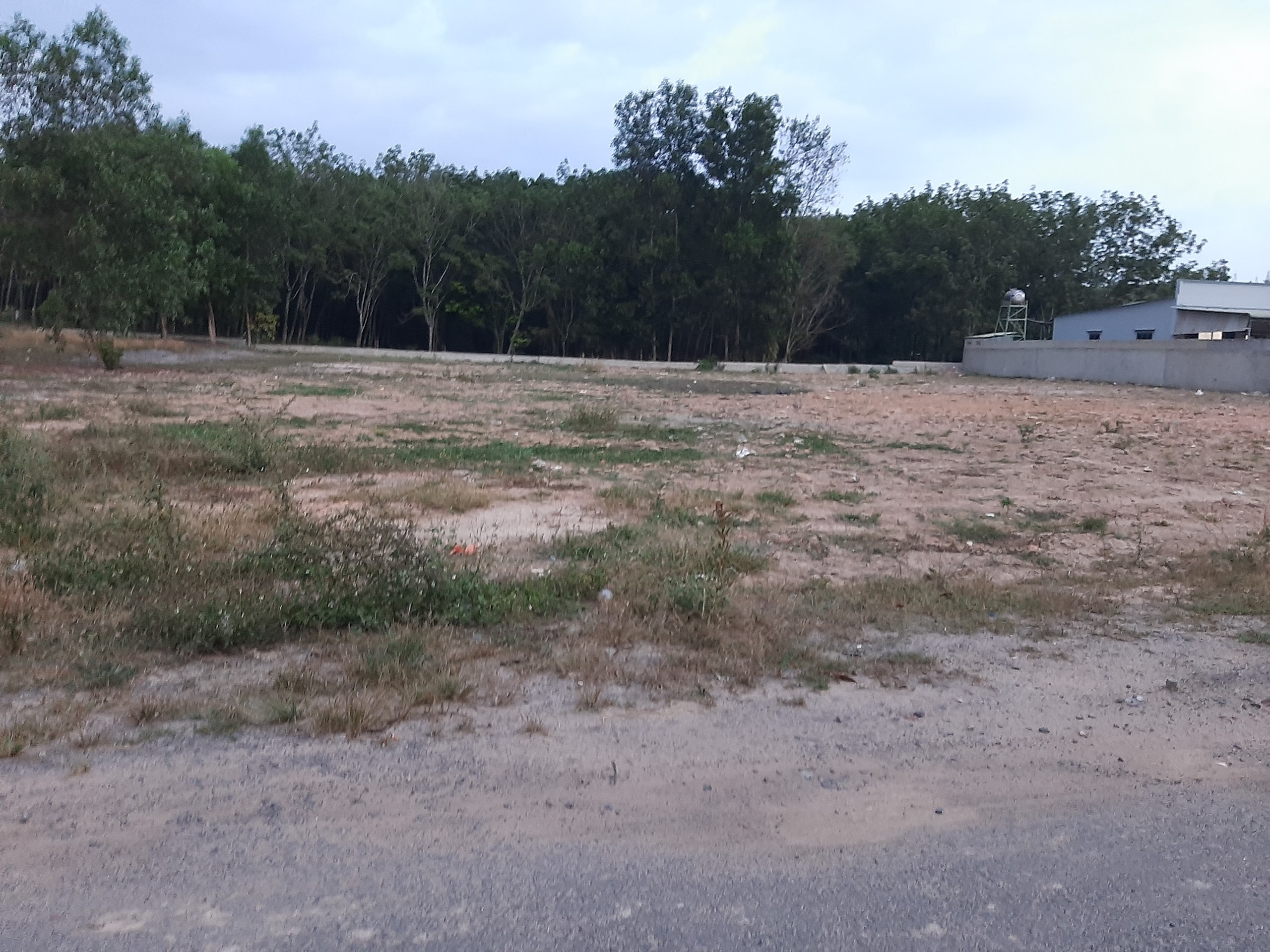 z5470359491419_14a593c29889aebabc8acf4e1b8fb45a