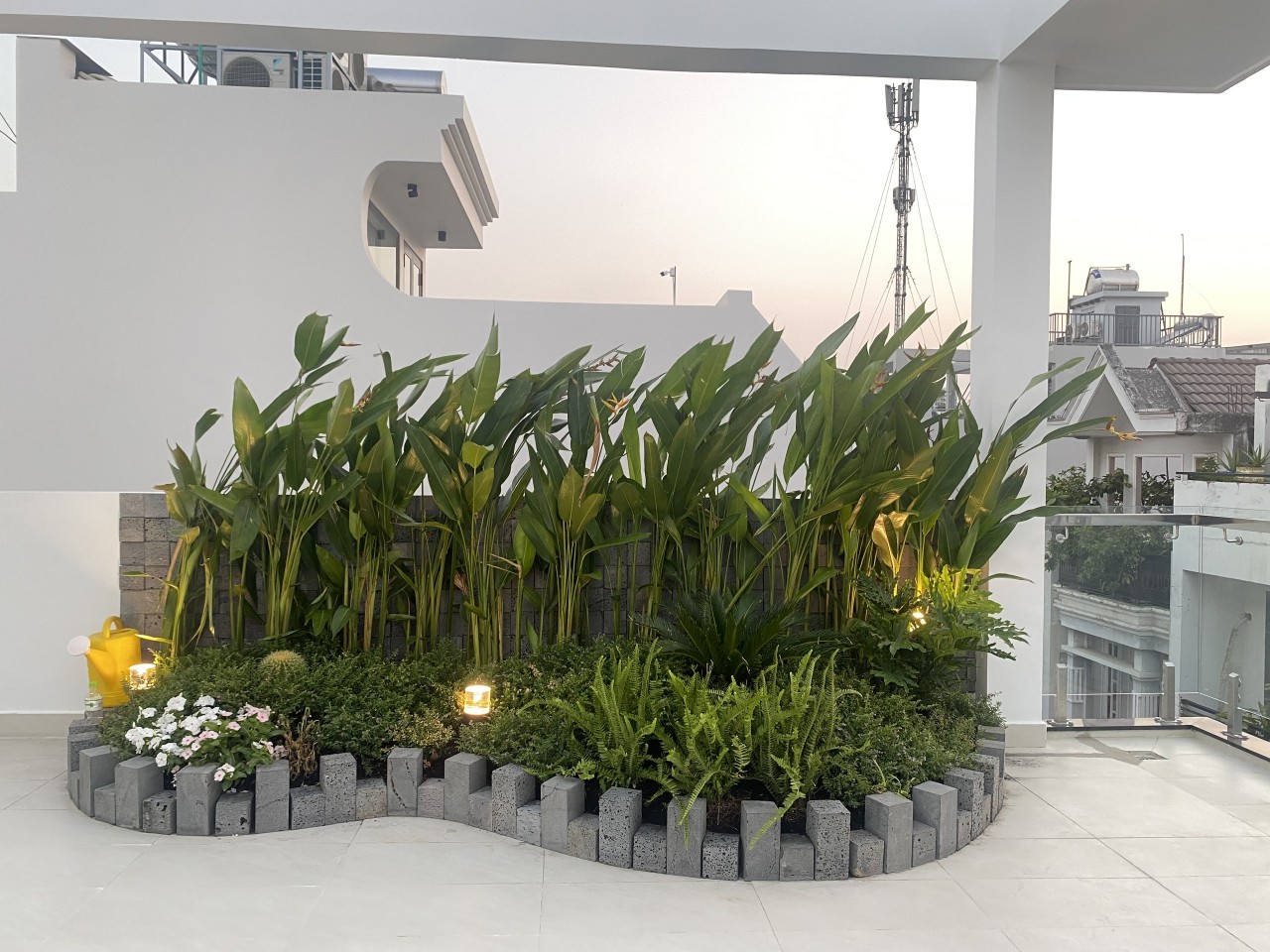 z5486496096303_50ec4e969a02016c0bb0f9bf37c6a7bd