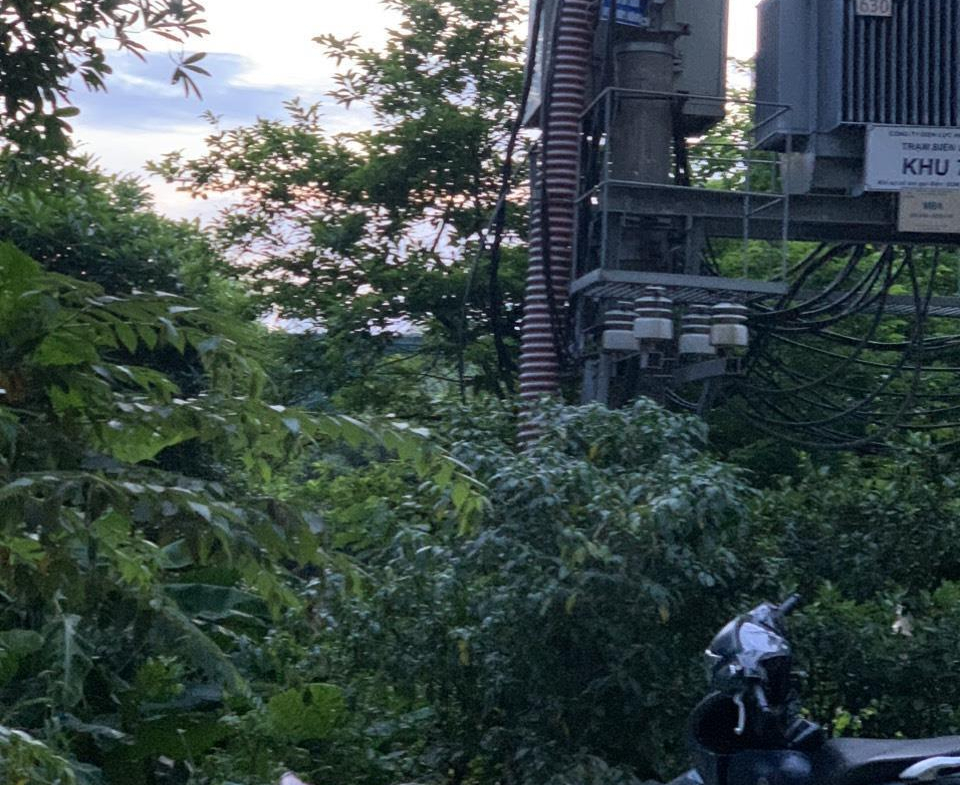 z5487521202593_665aa24bf31afcb782a9196d9a91a08b