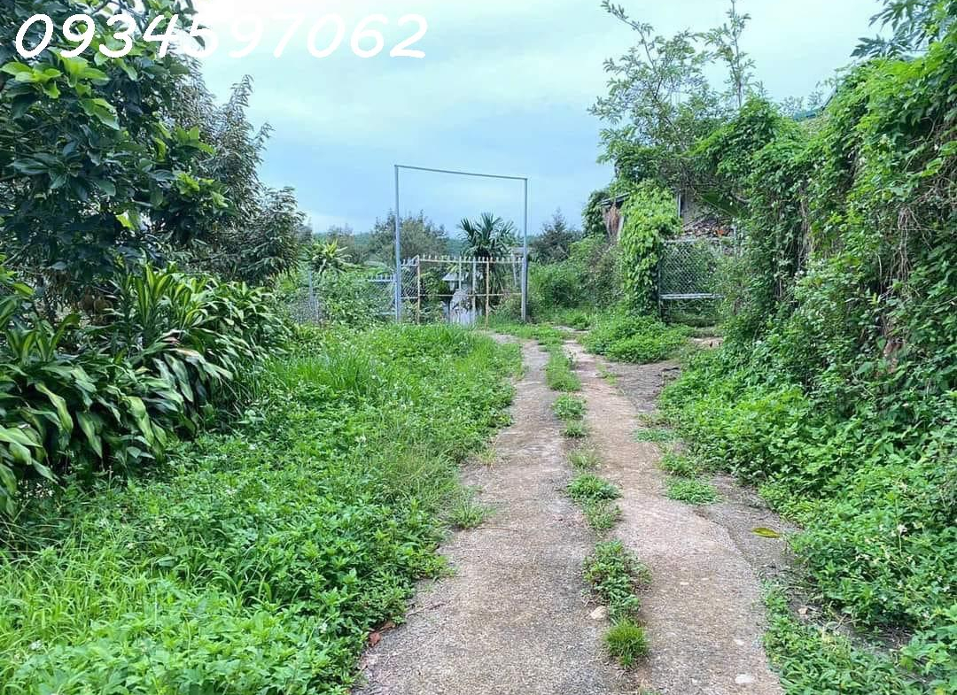 z5490838550137_e48bde7dff29fa3209b43a63400602ee