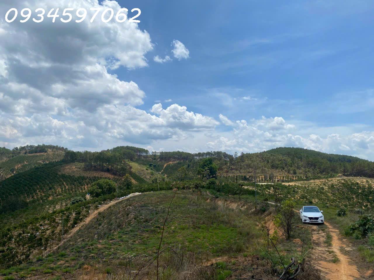 z5490960180009_49cf843d441da7b928147dd2b35793d9