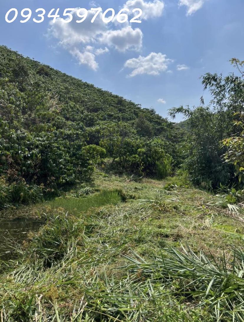 z5490960186548_da657d81df0939f7a0e53881123a3ce6