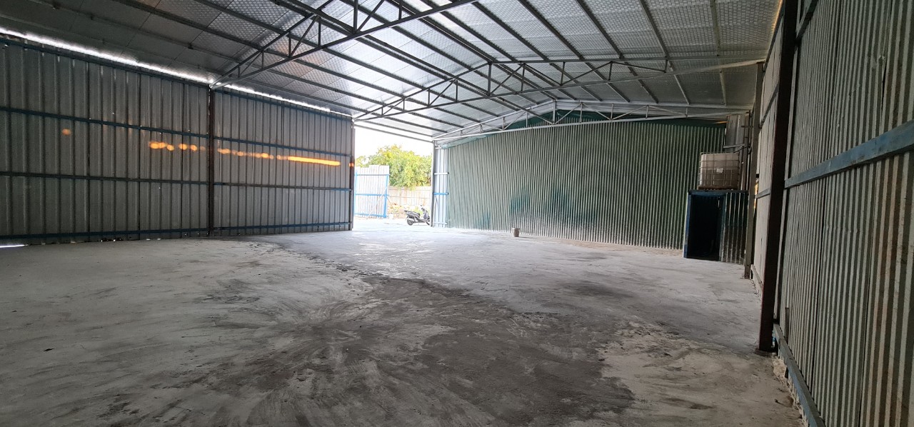 z5491570787051_677444c94c908b2b3ff123279ed4edf6