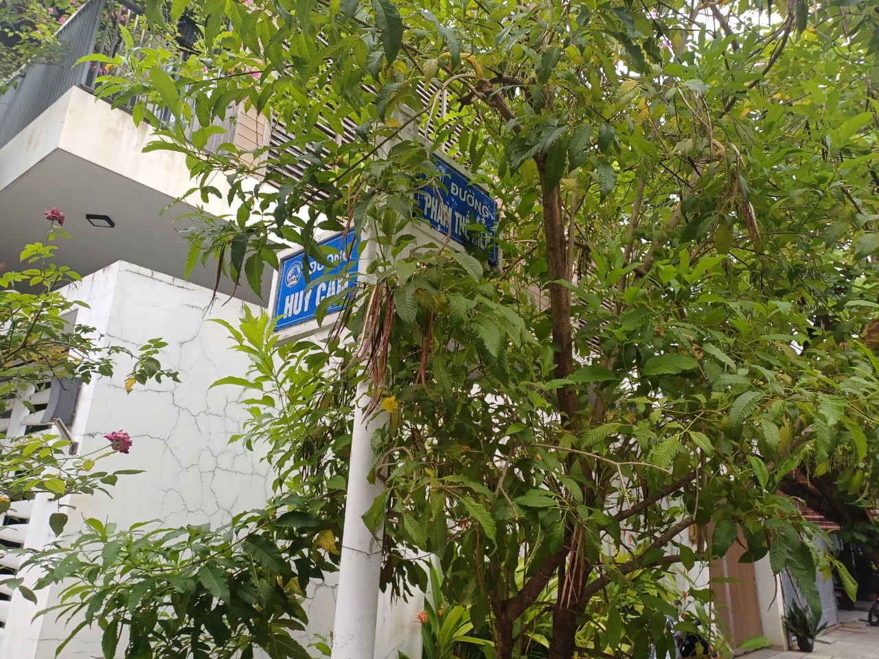 z5491669214603_141edb9b59abd459024a1847c49d51db