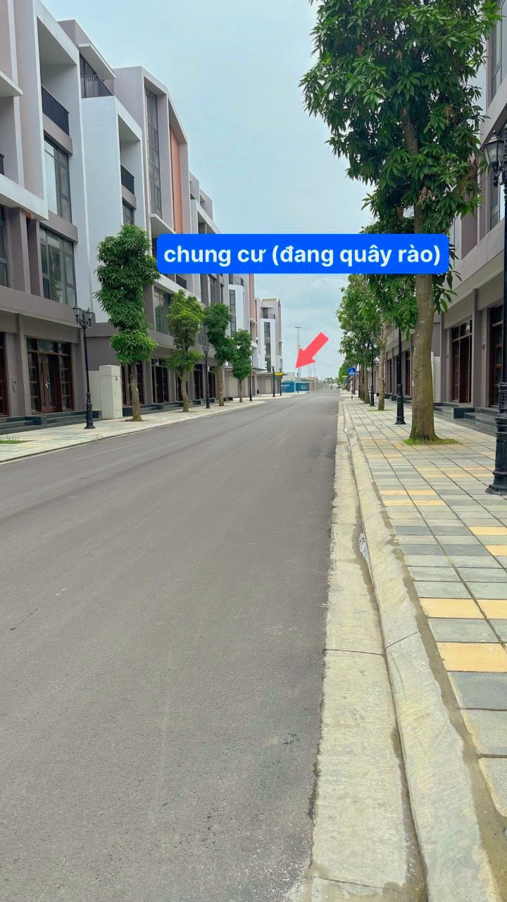 z5495630343390_4b3a2b2b04bdef9597a7c38e2de64d80