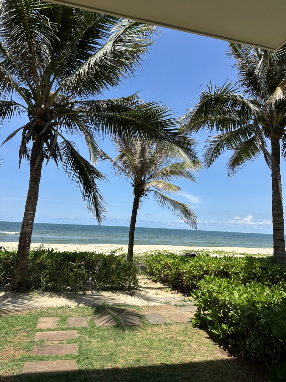 z5497518289106_fb34533eebe057fc125f56eb6c0baf54