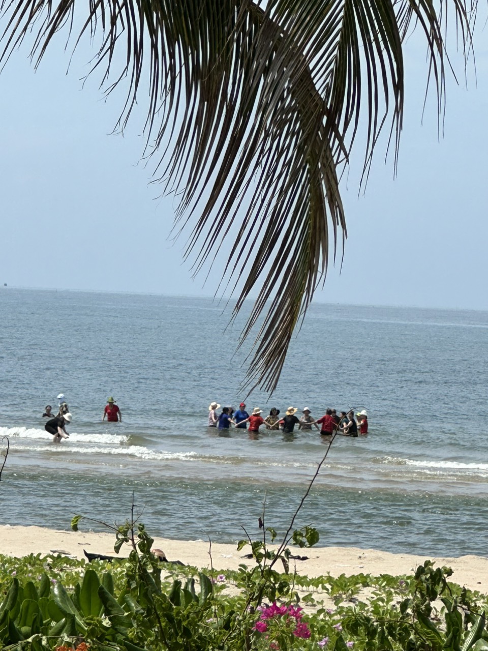 z5497519136966_8698a69f99701faafede03e5e604b203