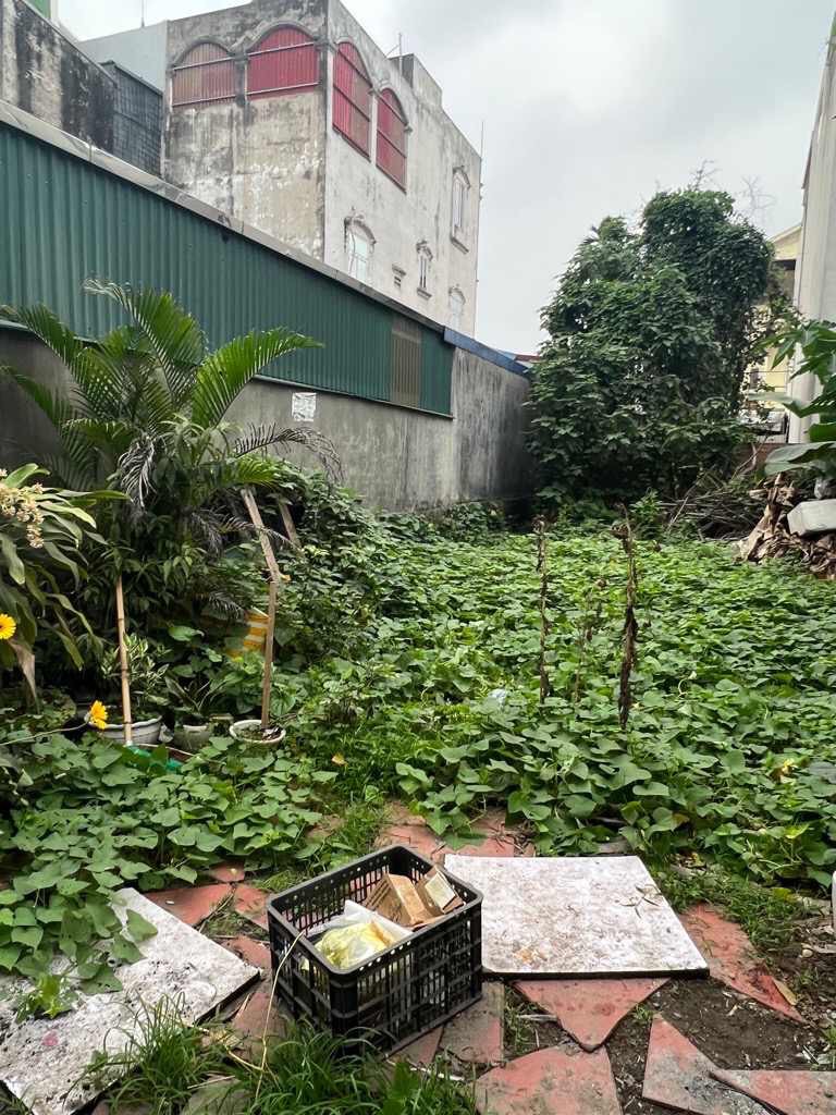 z5497633735758_cf2cc22757396c8529596864cf7190c2