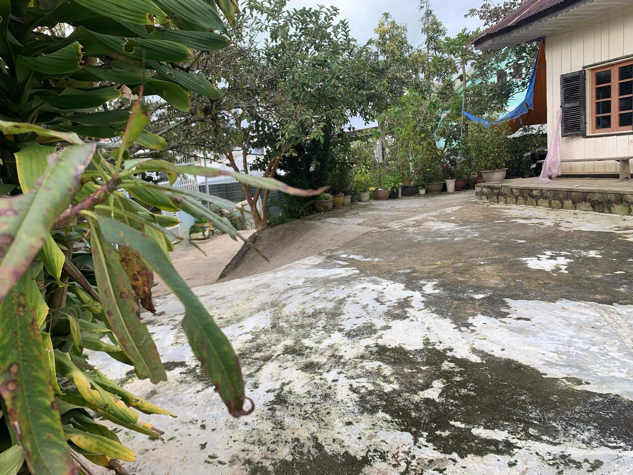 z5497659008364_bbcd4d3b472bb500676a8ab5ecc5c941