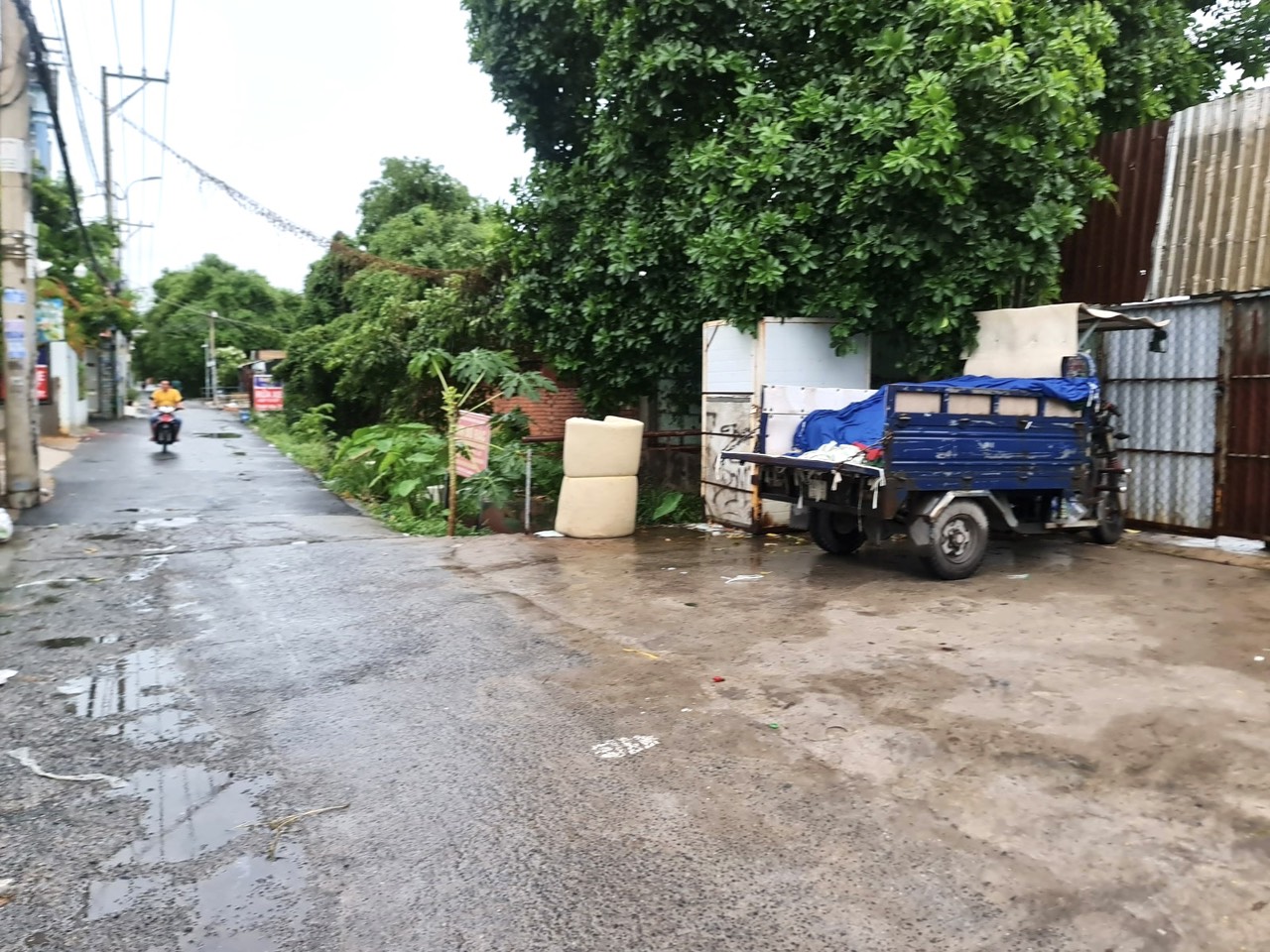 z5498706405381_950c6b43c7ec366a7e93cd3dd2551f54