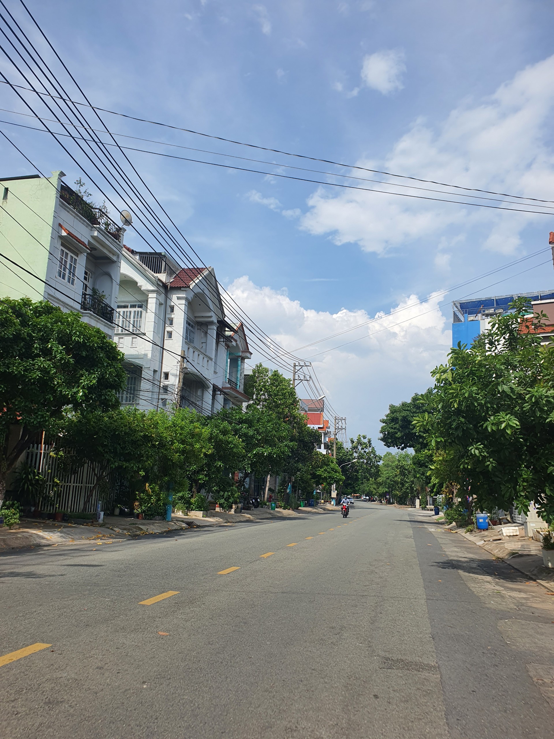 z5503050280438_abd9d8b05da72b56bb18edb7b1d0a191