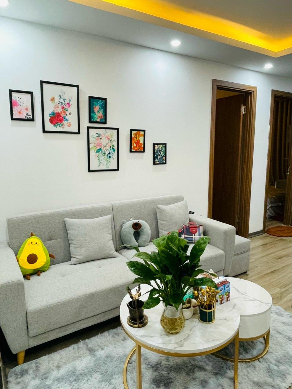 z5503631596535_a4e6b59989f448df63e3f204051e4965