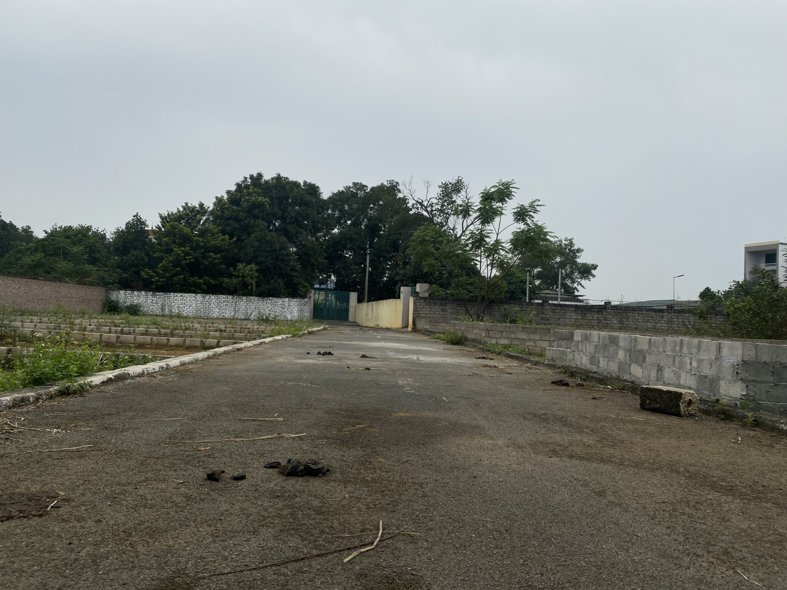 z5503638348690_68bee5aef0f0451d4a7a6fa4faf92540