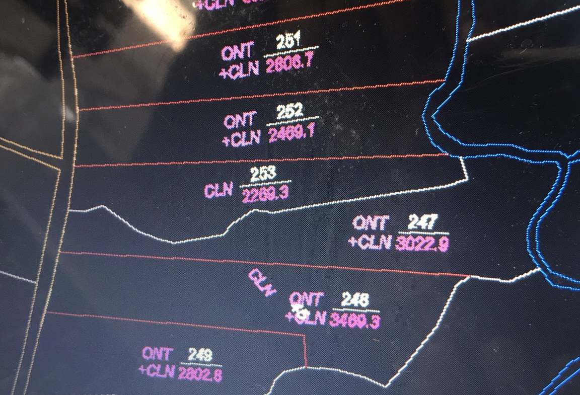 z5505074159281_321f8fc0d2bc71fd0f6ee794b69e1d98