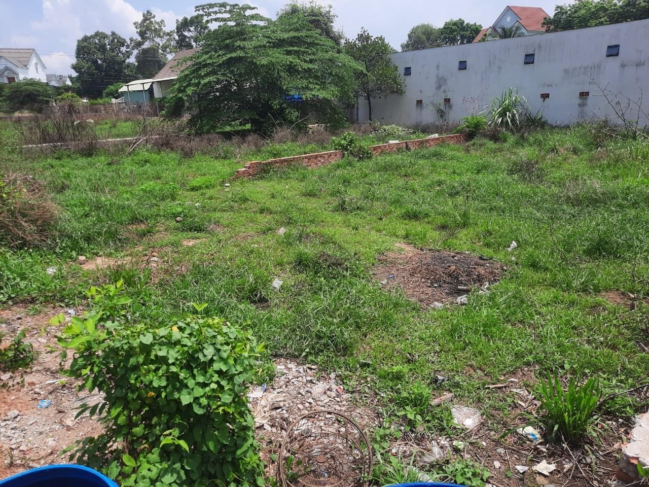 z5506035742352_f836c016158d6e90937df312132f49ae