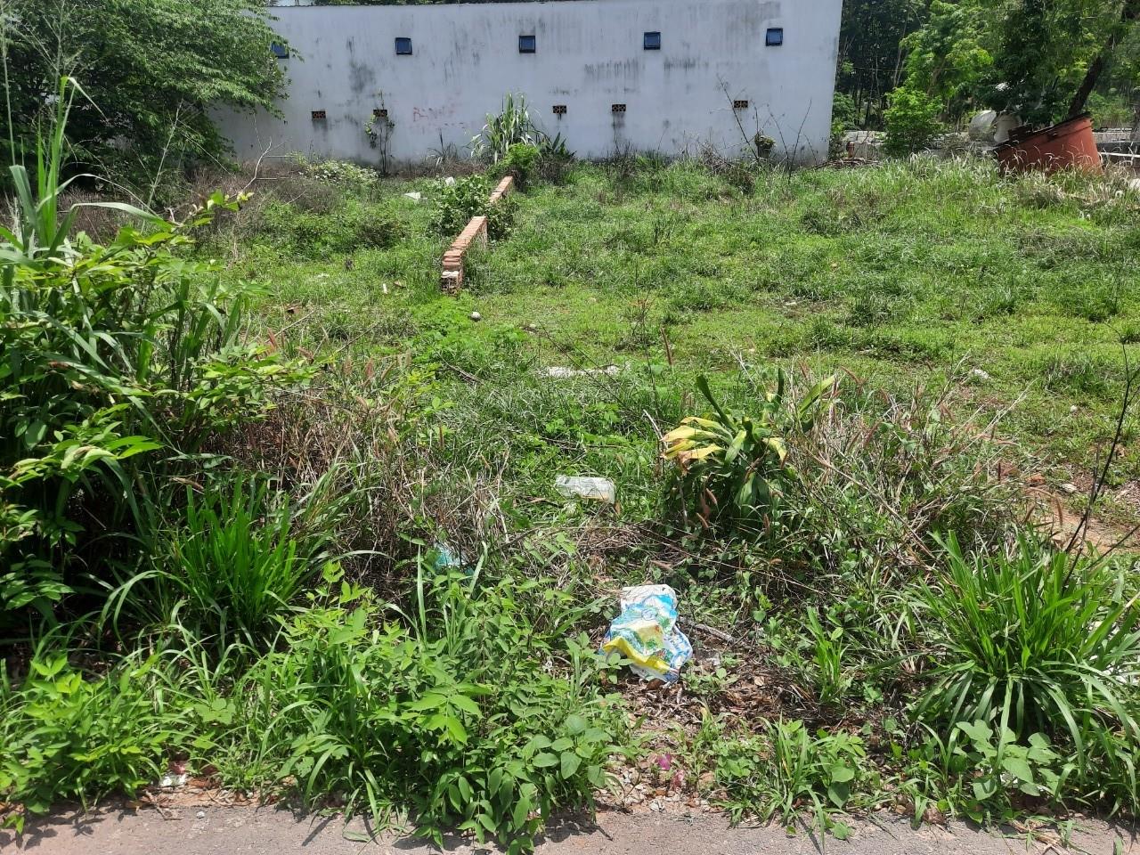 z5506035743735_2d10235f7db978a57575c60d900b7e2b