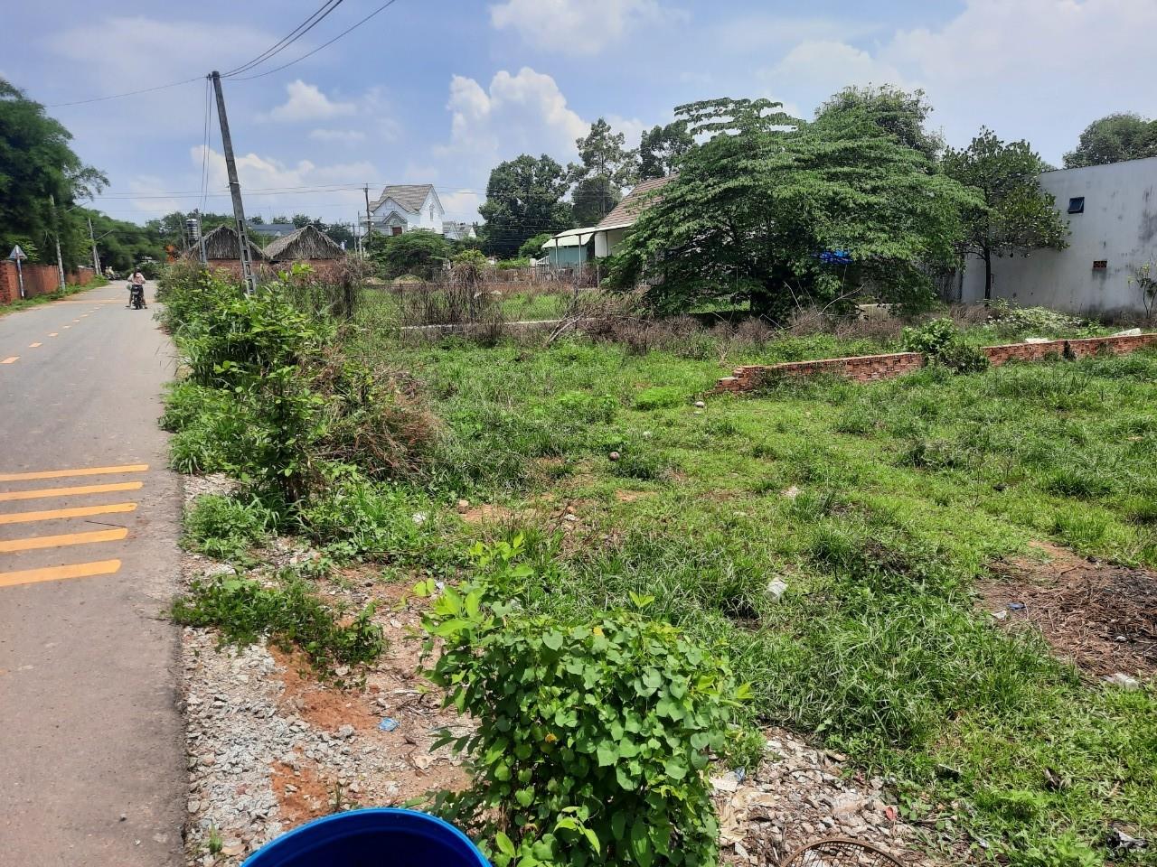 z5506035771008_6eb2a97f5773dc5345c5d0ad9c8b6f34