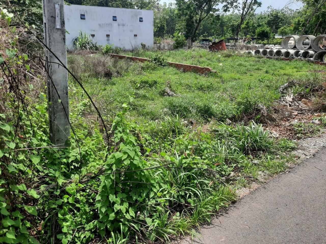 z5506035773242_fe96a264c70feca467a61e3876f138ec