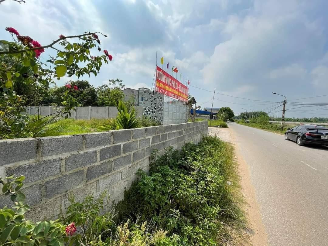 z5506643883967_7471d4f3cfe2d54014f4e02bf763e69e