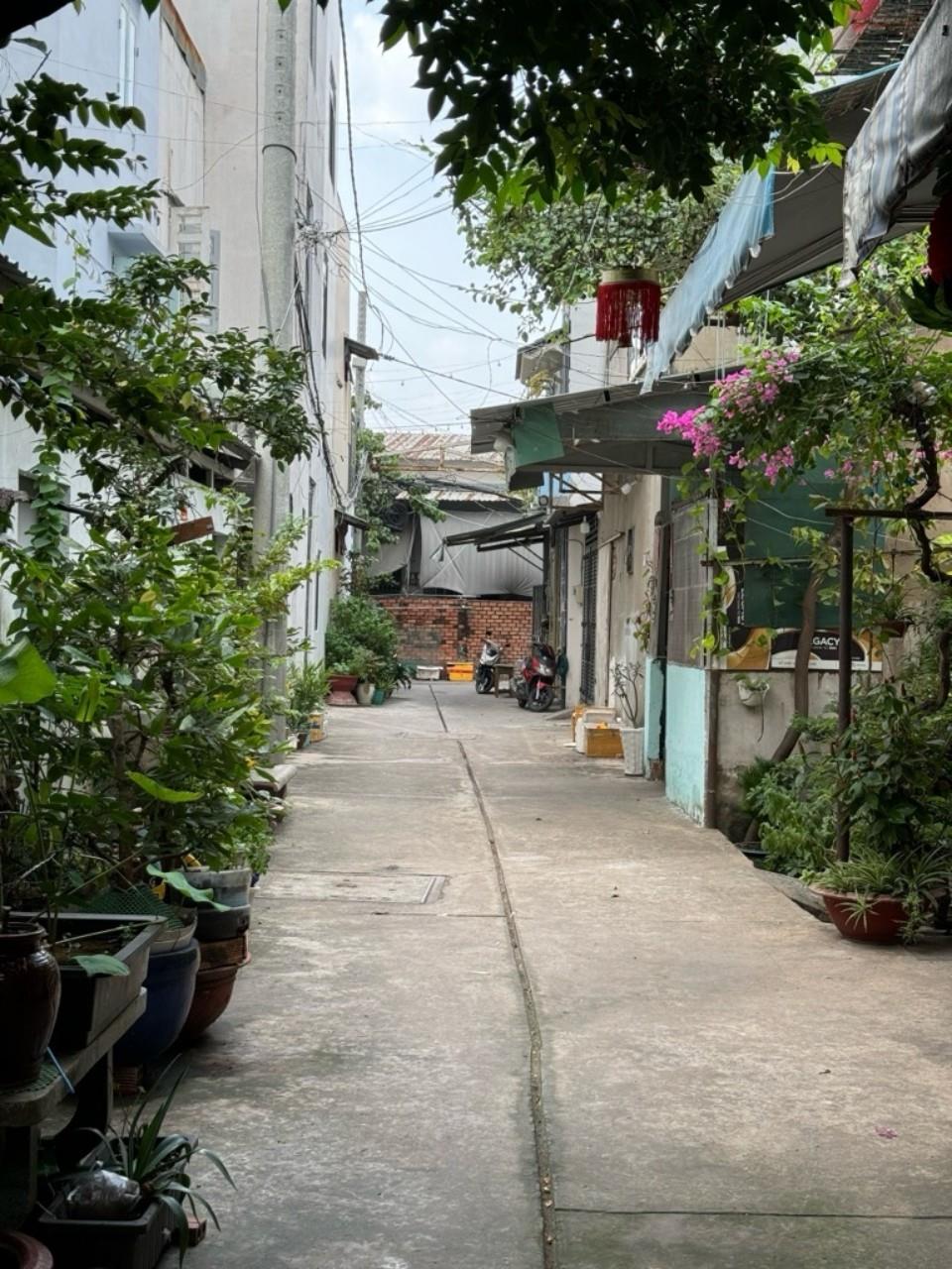 z5508288711293_5529320e420a181582b0186b21883e07