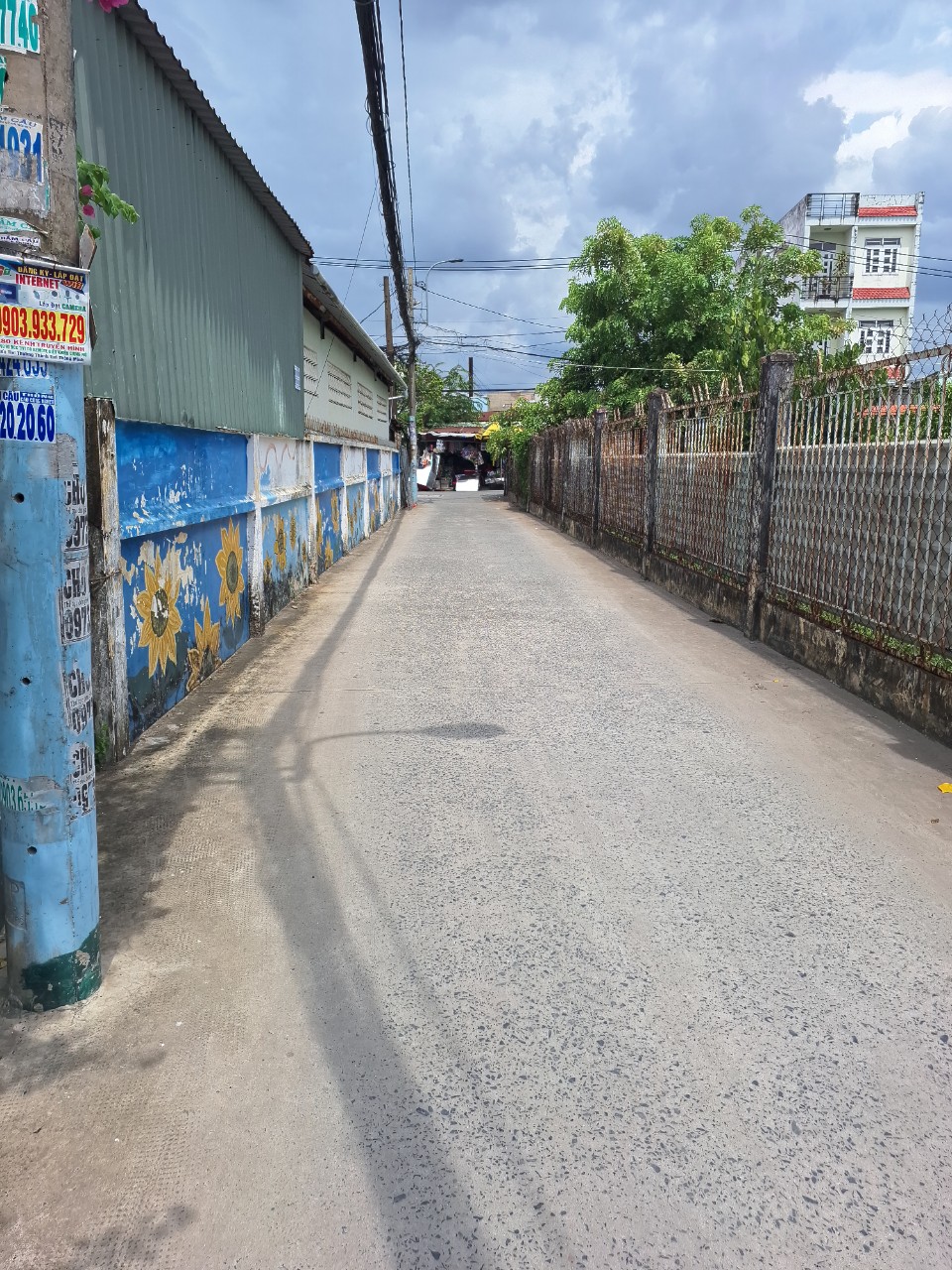 z5510571364839_a9c9a511f5431872d504f714cd6eff00