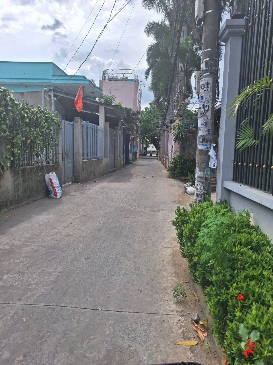 z5510689339772_add31a562dcf5174d700a7c01b745638