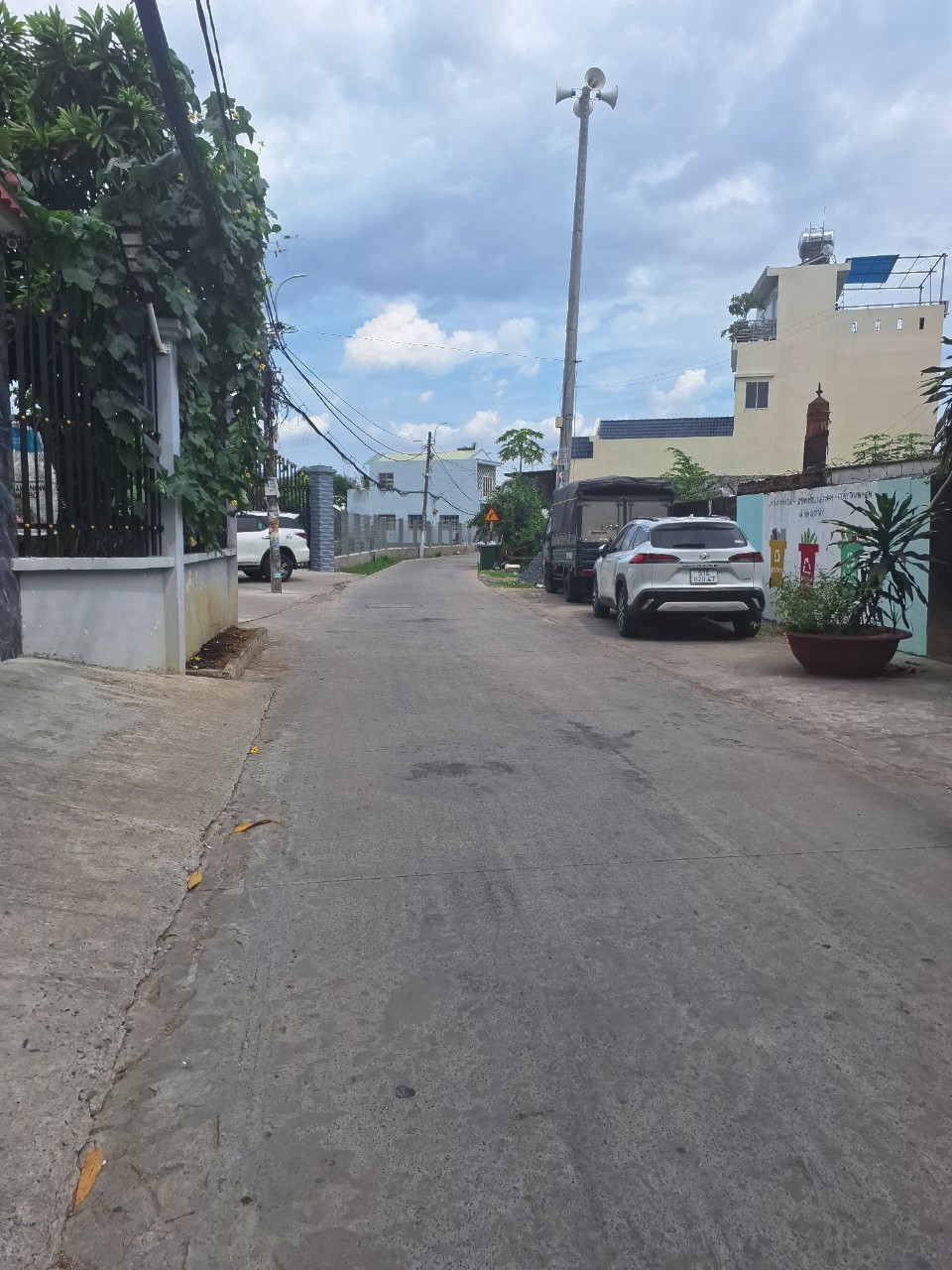 z5510689374405_cccdcc82056b173b6735e57eaeda3599