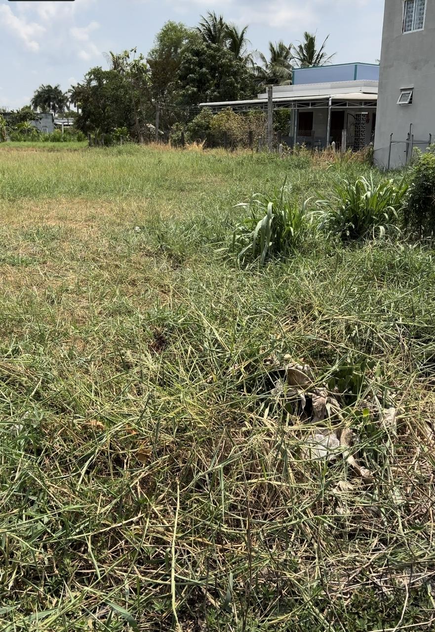 z5511257441035_dc9dc138aa0502674b7b6be20ab02ab9