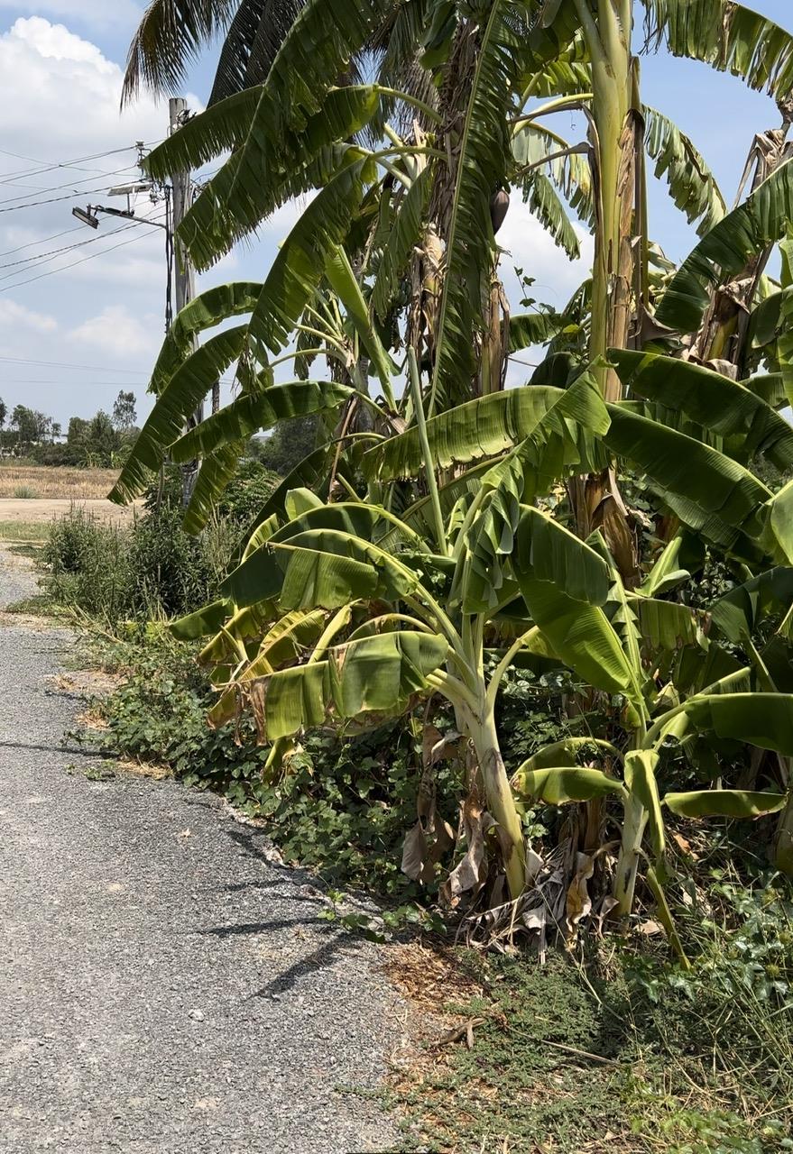 z5511257441971_5cbb426dc757cf02973cd3899f3b7d75