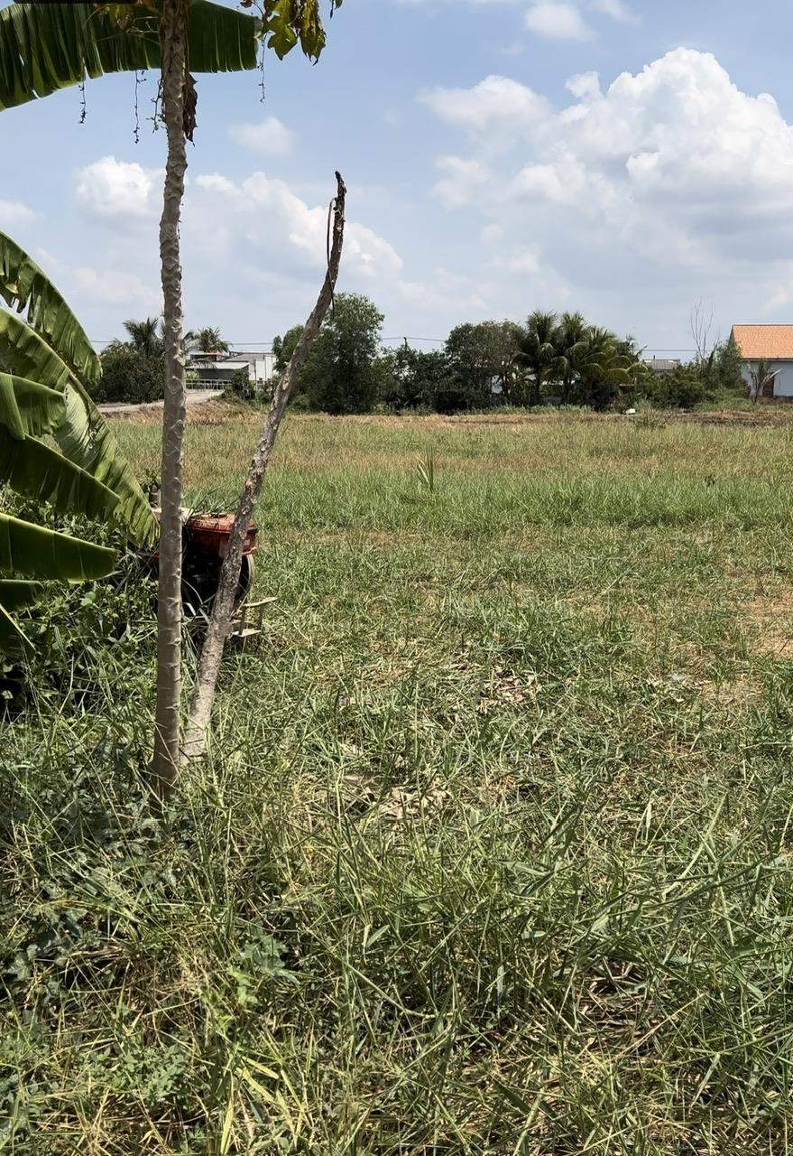 z5511257449337_5edd1c5ba6a86690d4fba66cdb6ea29f