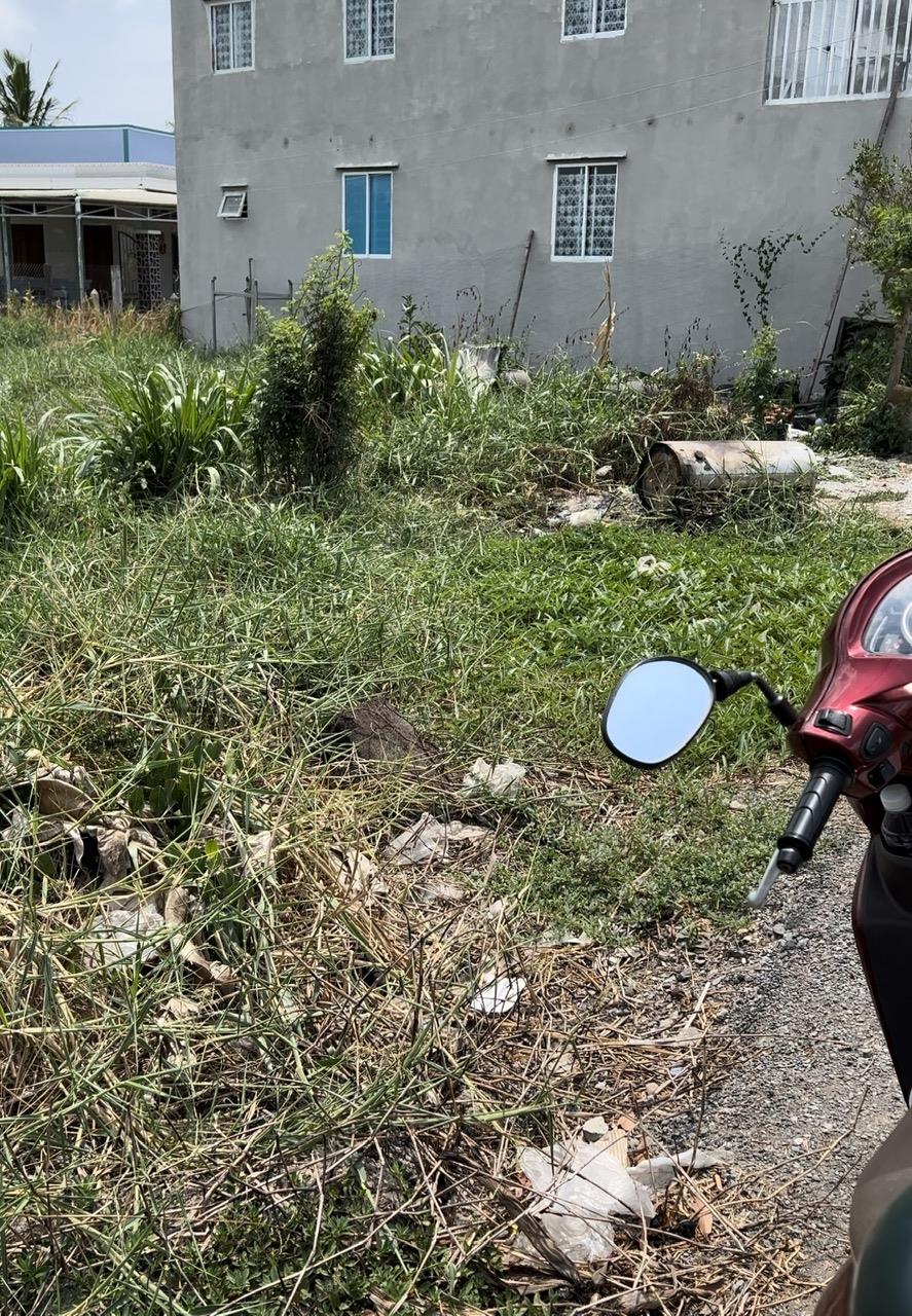 z5511257459199_13ffc81f13f620d5143326969c5fb088