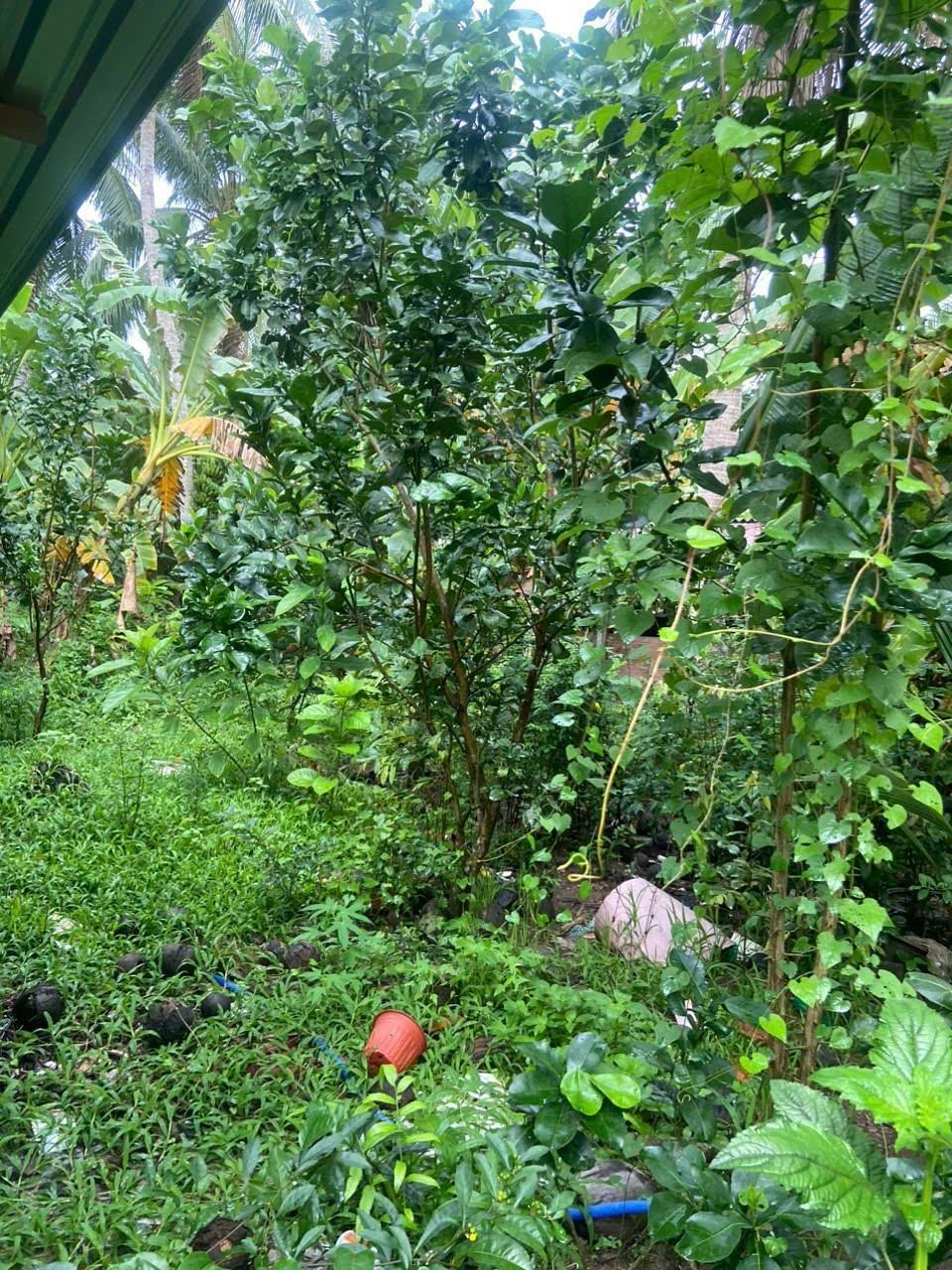 z5511859814276_98f3fc81cb18e435a747bec150f1ab52