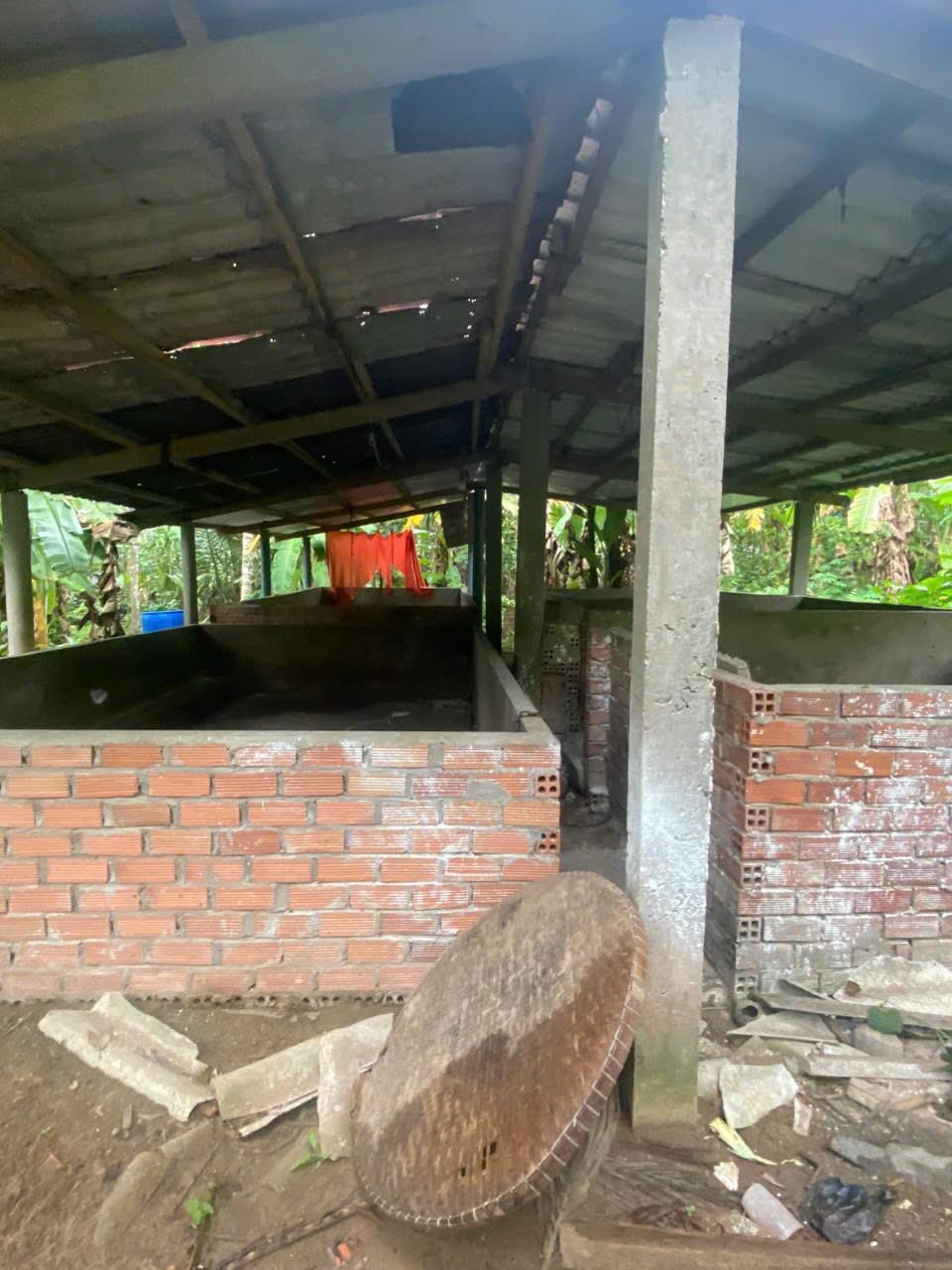 z5511859830565_8c00fe3a38217d0e15ab0688728e026f