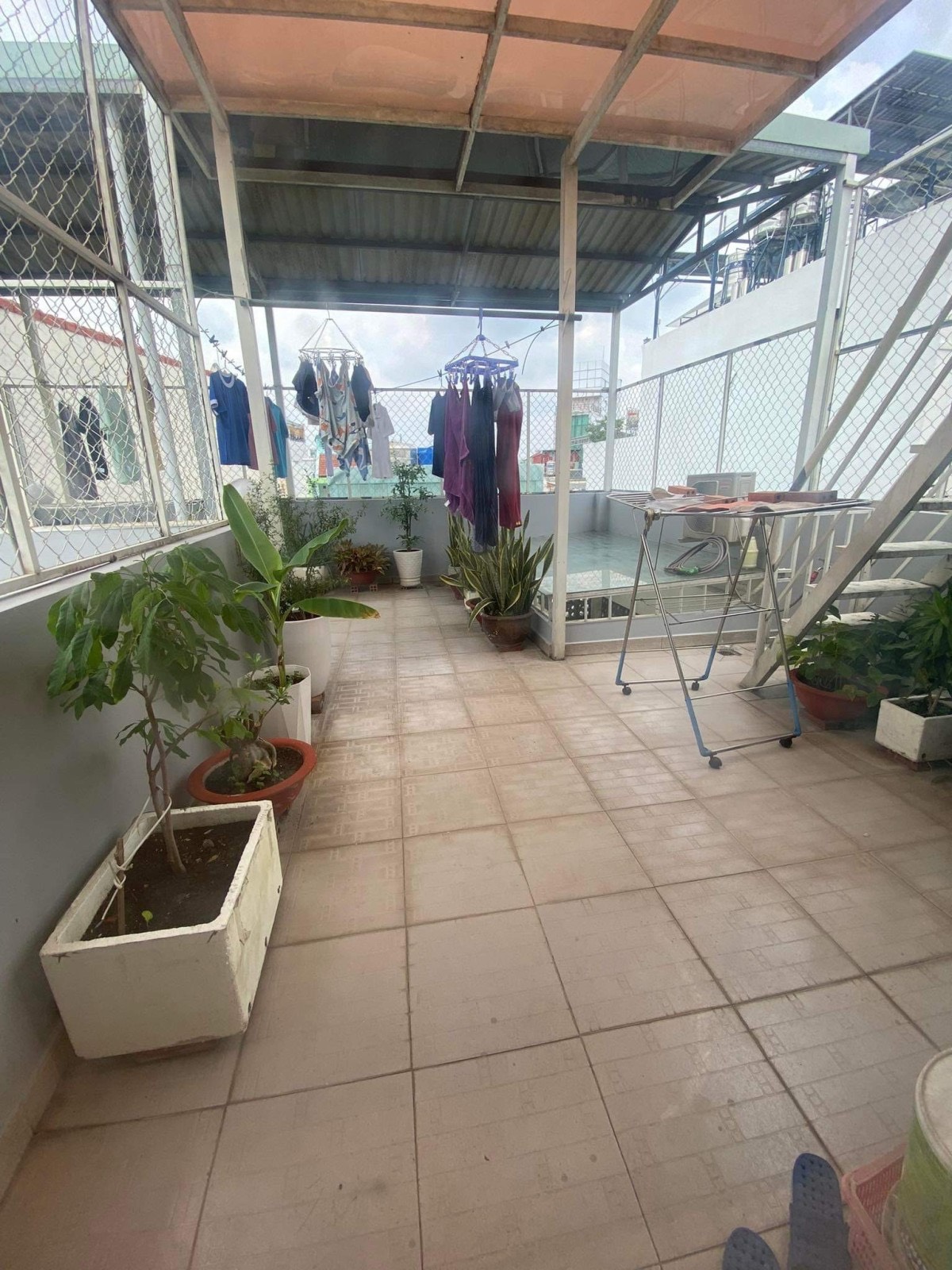 z5514932434285_4a77813ba61c336425eb0fe6024b3460