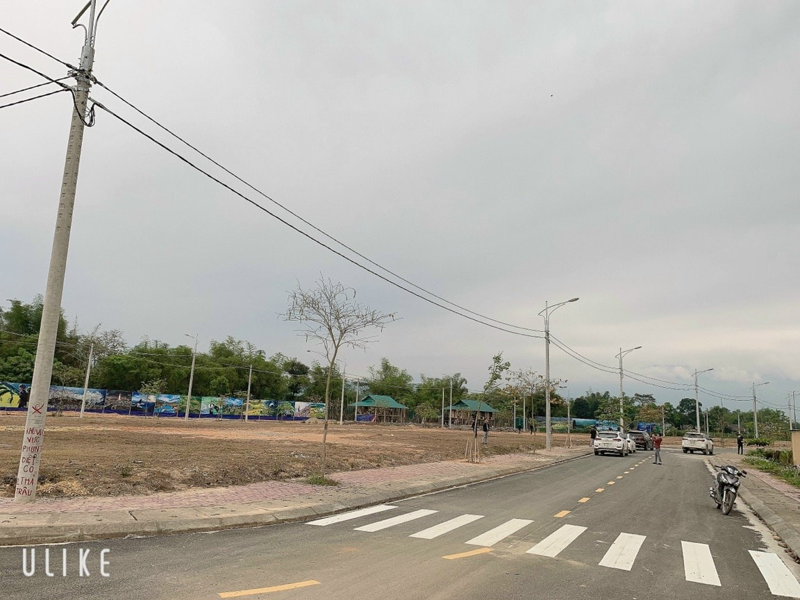 z5515951125600_d1e700186795e4e549a9a89050ae94ca