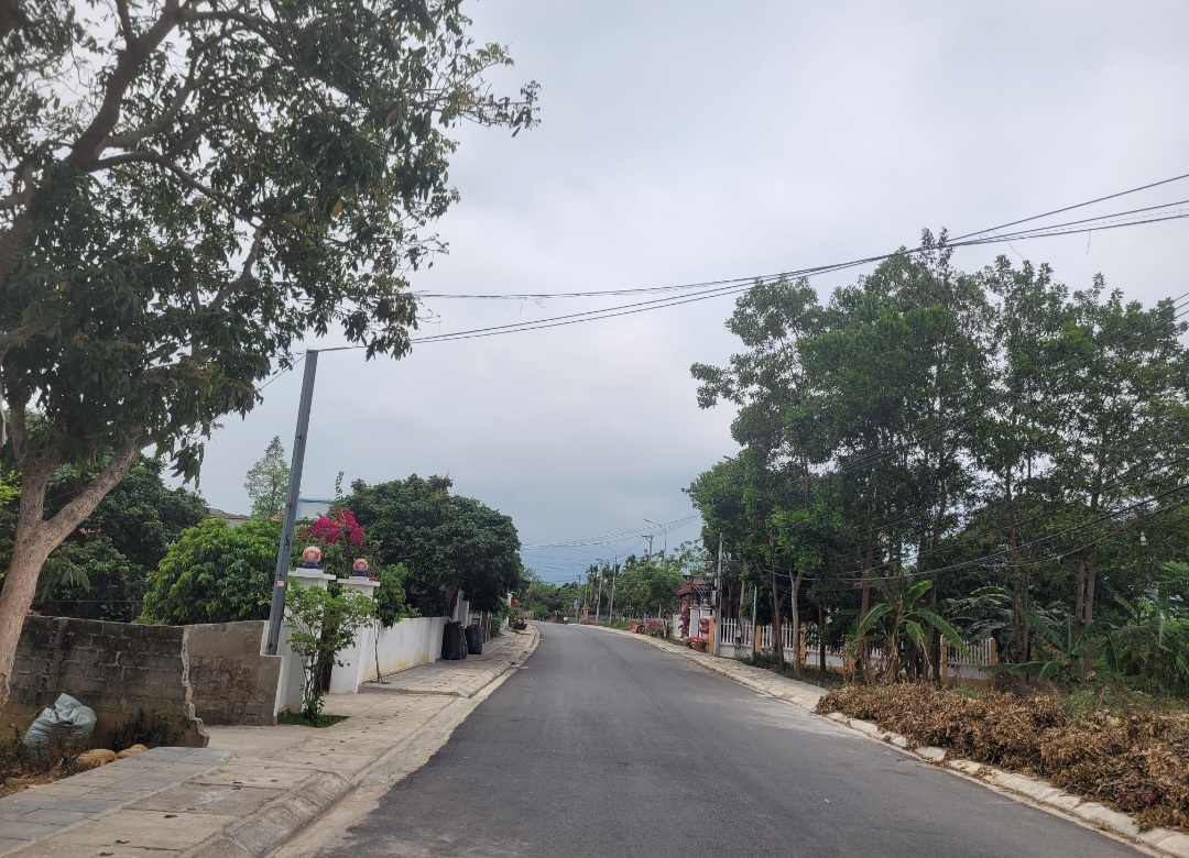 z5515951125701_38bc9b1412d96c3ea727054f396e7306