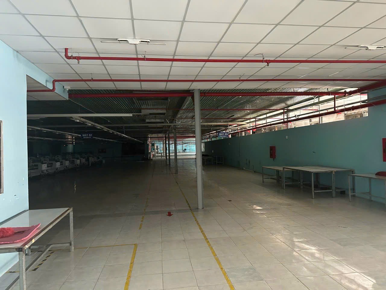 z5516035929179_fc76623f0679006fa6431cb1755140eb