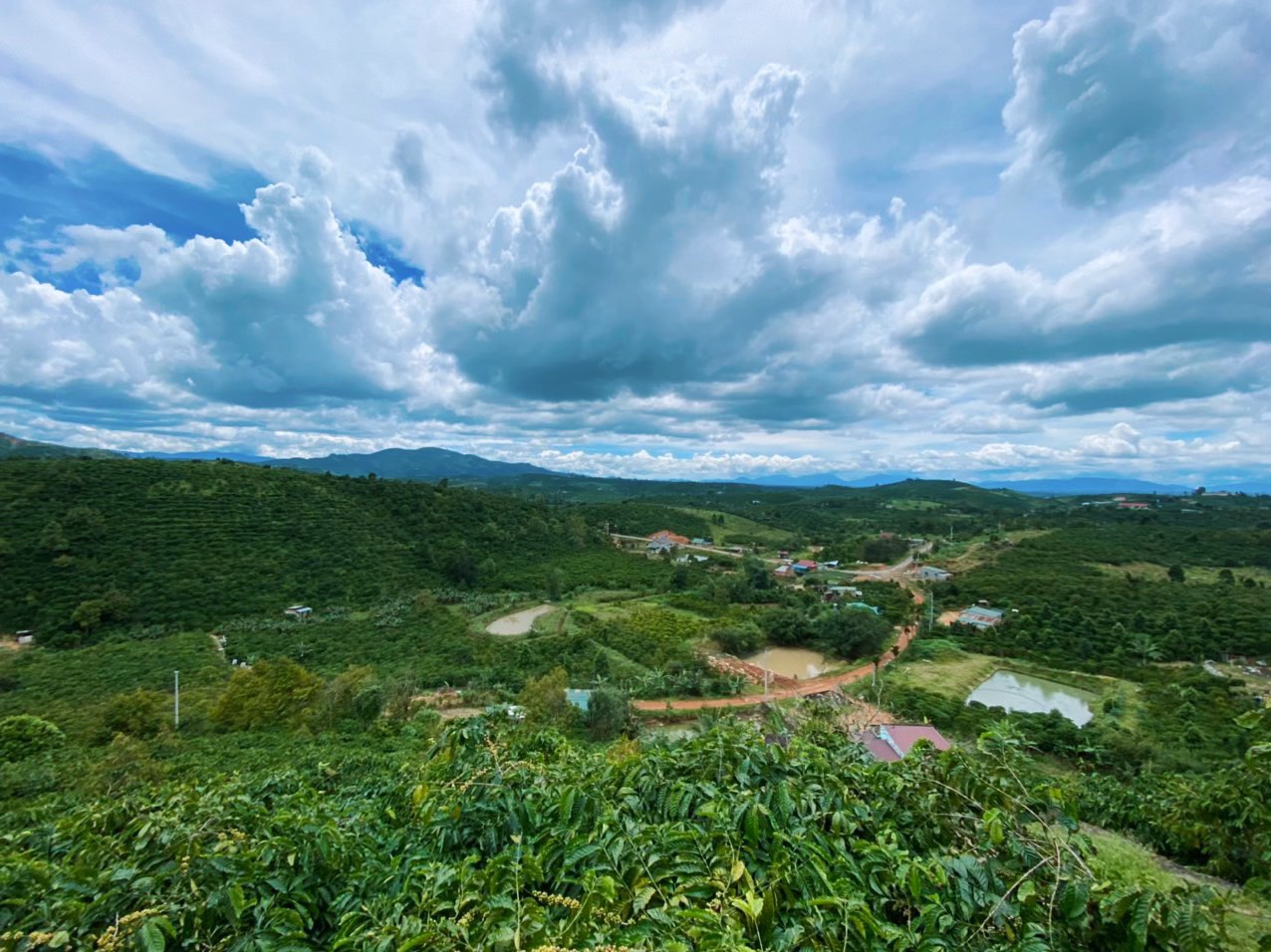 z5516175569957_900ac53e5791a2bd447185288a0a067f