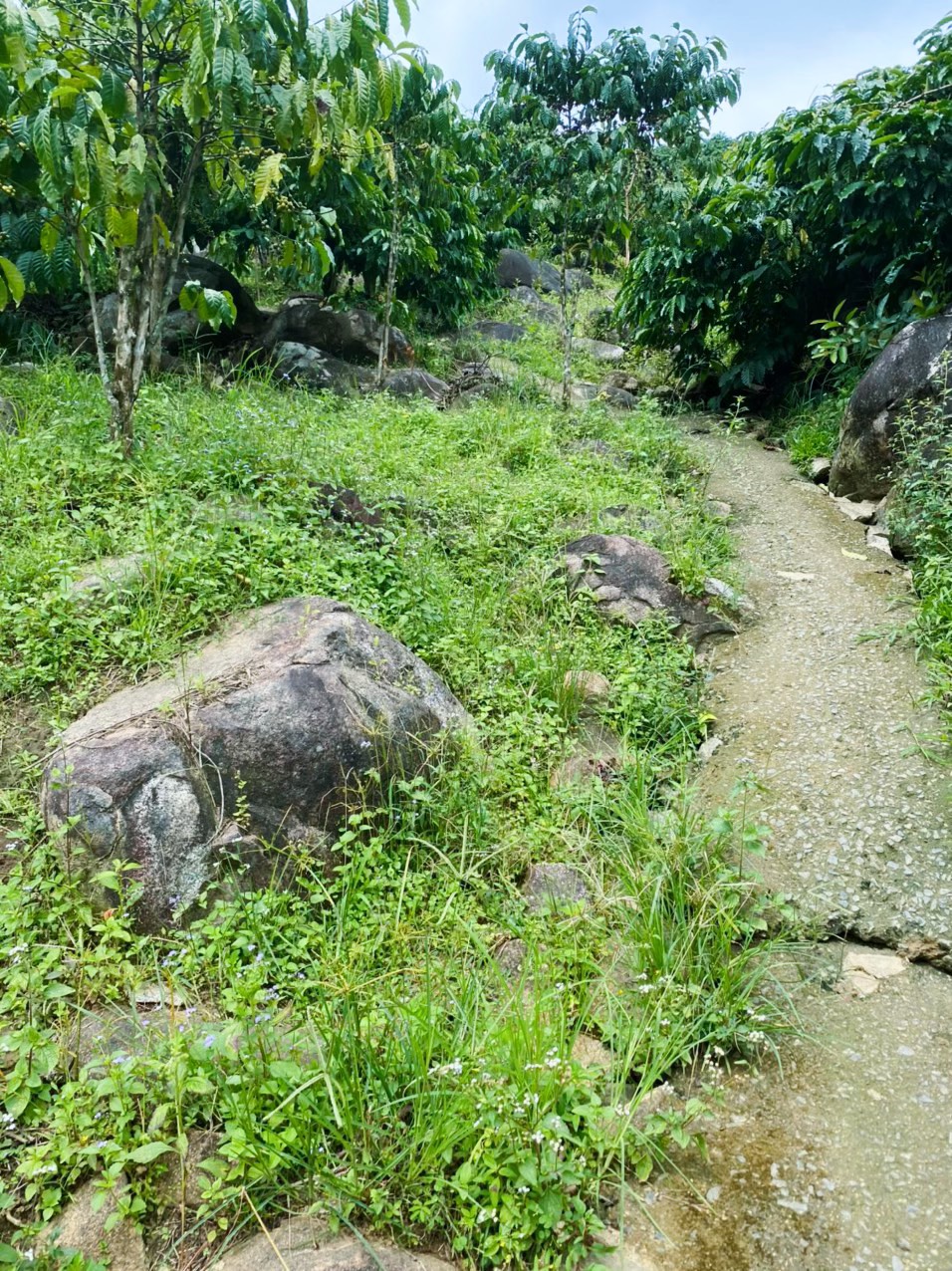 z5516177968520_a53ef883472393786141f1954281d254