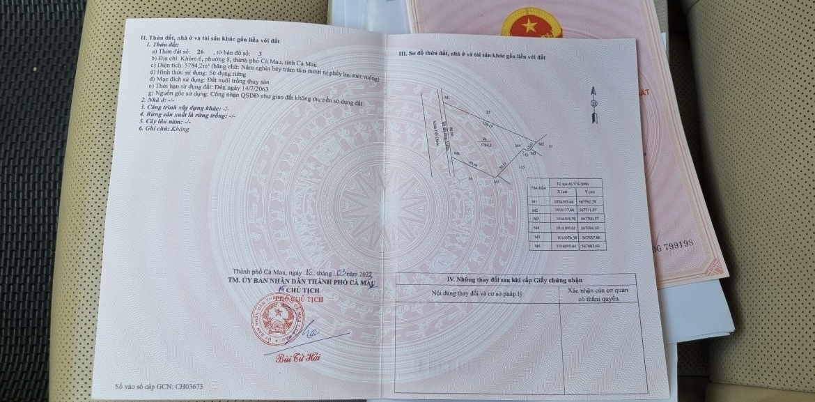 z5516459013527_073ec4a48daa9617634464d884e3b3c6