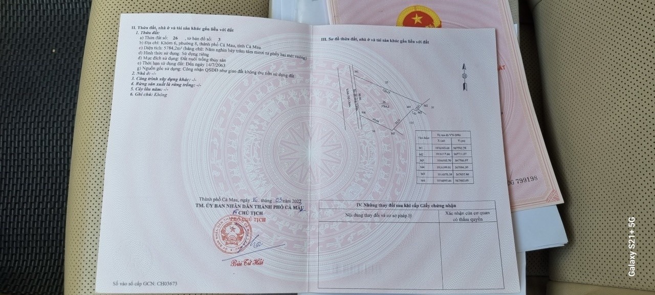 z5516459013527_073ec4a48daa9617634464d884e3b3c6