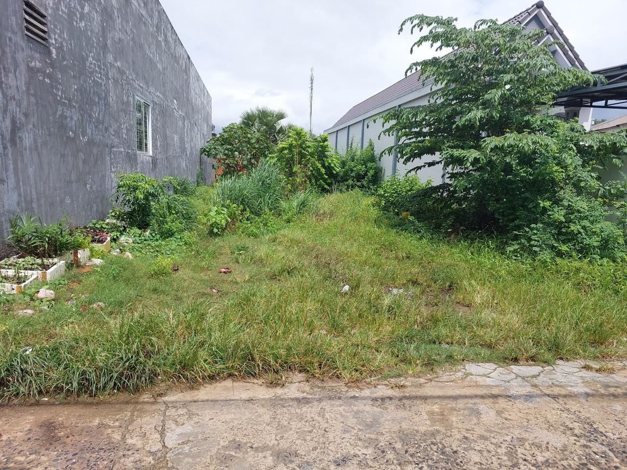 z5517157207400_bc660181bf1184236a40476e6becdbb9